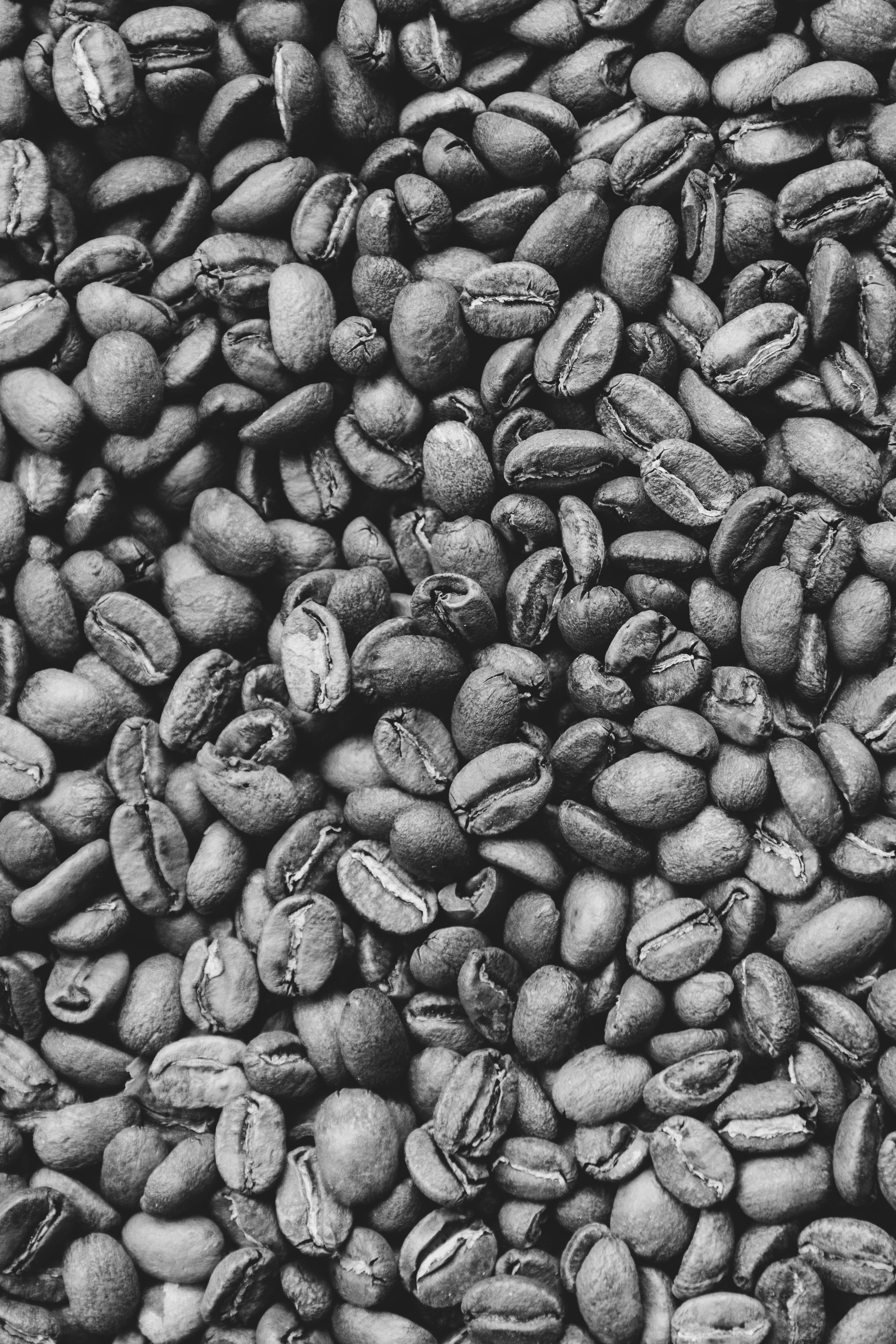 Ethiopia Yirgacheffe kaffebönor